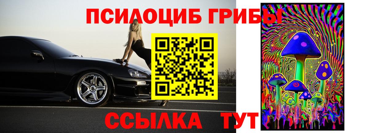 Галлюциногенные грибы MAGIC MUSHROOMS  Вход с VPN  Апшеронск 